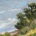 'Cliff Edge' Sally Joubert