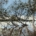 'Gippsland Flood' Janet Green