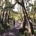 Walk to Bushranger's Bay
