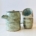 Tea Pot + Two Tea Cup set
