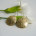 Petal Brass Earrings