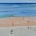 'Back Beach' Rick Matear