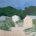 'Beach Boxes and Trees' Rick Matear