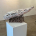 Constructed Lifeform